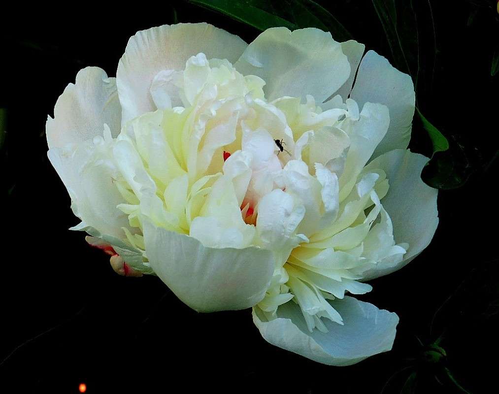 ... ����� Natali  ��������� �� PhotoGeek.ru #����� ��������������