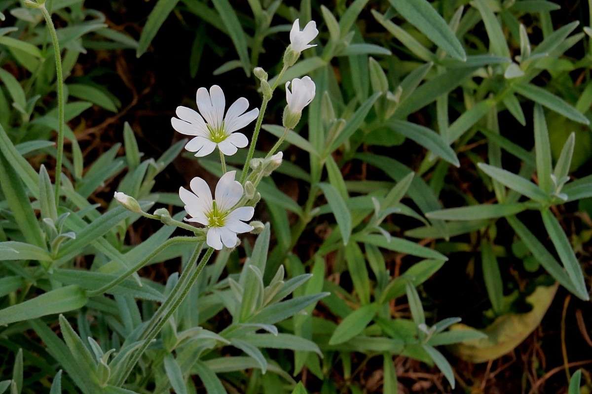 ... ����� Natali  ��������� �� PhotoGeek.ru #����� ��������������