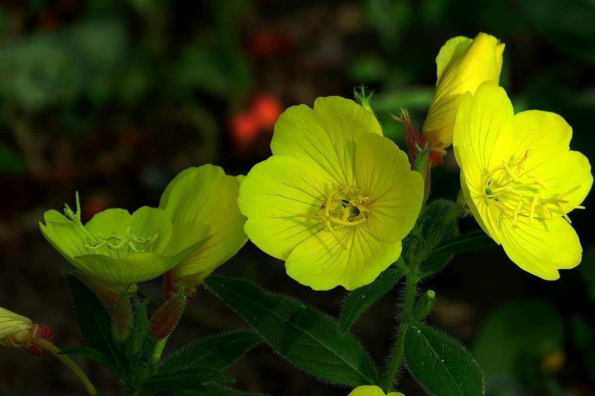 �� ������� ) ����� Natali  ��������� �� PhotoGeek.ru #����� ��������������