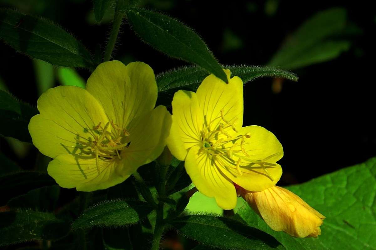 ���� � ���� ����� Natali  ��������� �� PhotoGeek.ru #����� ��������������