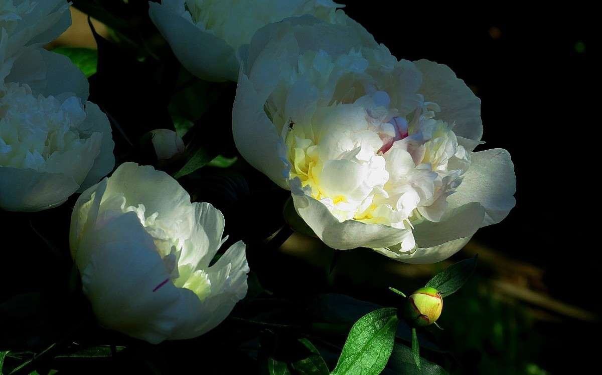 ��������� ����� ����� Natali  ��������� �� PhotoGeek.ru #����� ��������������