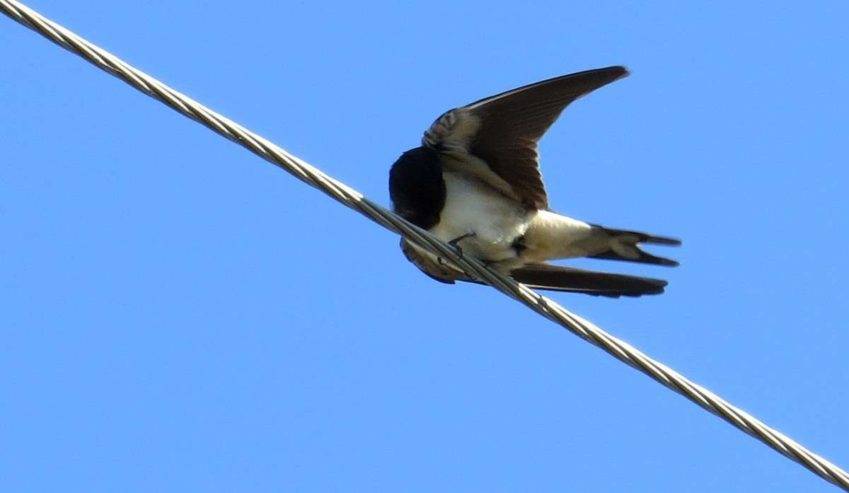 ���� � ����� ����� ������  ... ����� Natali  ��������� �� PhotoGeek.ru #�������� ��� #����� ��� ��� ���������