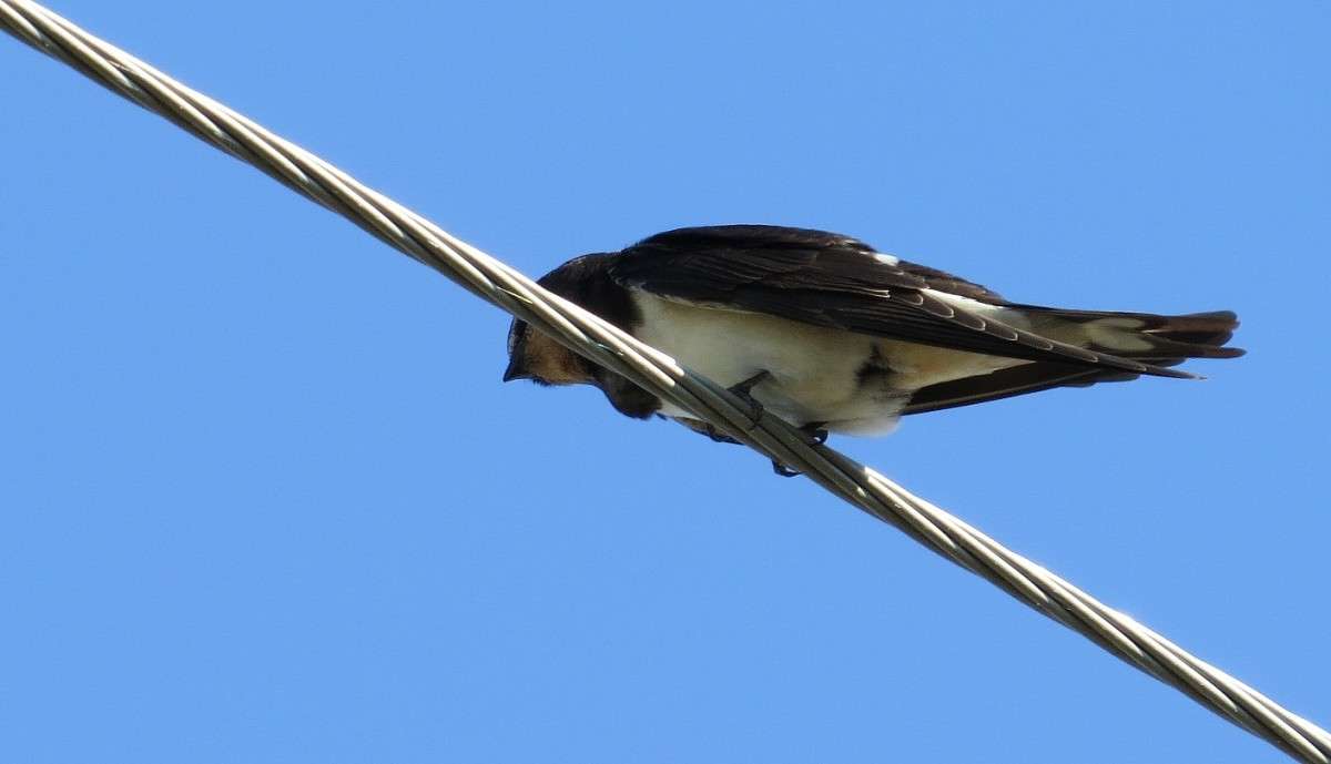 ������� ������� ...) ����� Natali  ��������� �� PhotoGeek.ru #�������� ��� #����� ��� ��� ���������