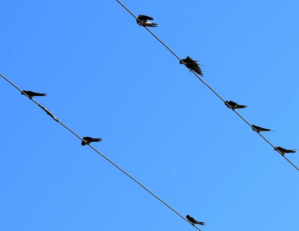 ������ ��������� ��������� ))) ����� Natali  ��������� �� PhotoGeek.ru #�������� ��� #����� ��� ��� ���������