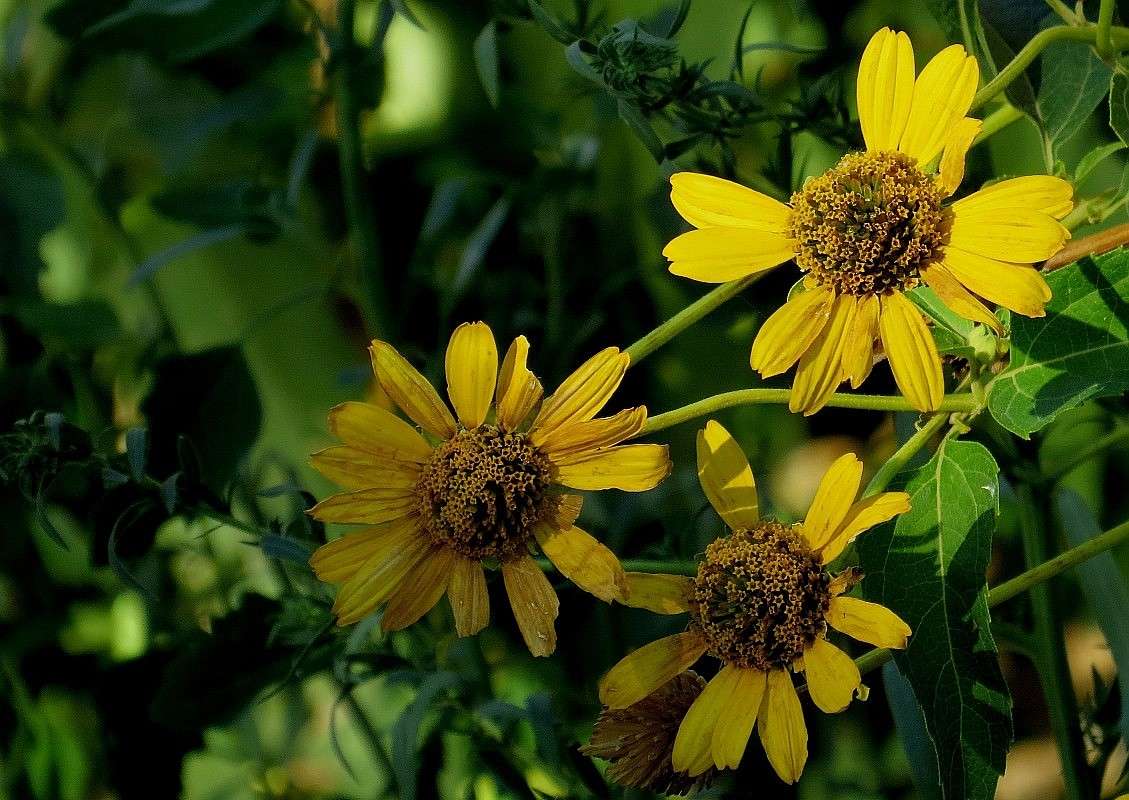 ����� ����������� ���� ����� Natali  ��������� �� PhotoGeek.ru #������ ��� ������� #����� ��������������