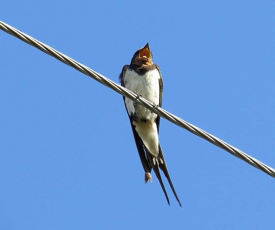 ���, ��� ����..... ))) ����� Natali  ��������� �� PhotoGeek.ru #�������� ��� #����� ��� ��� ���������