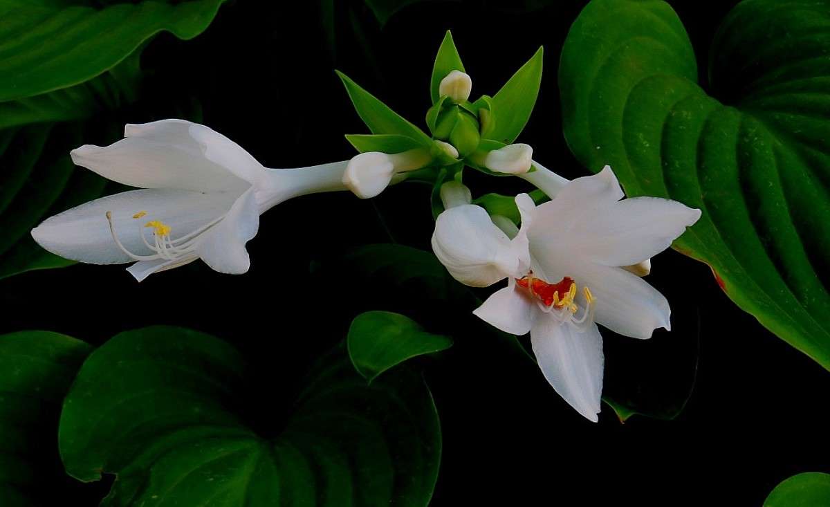 ���������� ))) ����� Natali  ��������� �� PhotoGeek.ru #����� ��������������