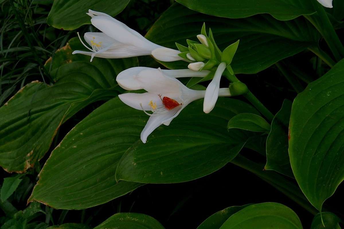 � ����� � ������ .... ) ����� Natali  ��������� �� PhotoGeek.ru #����� ��������������