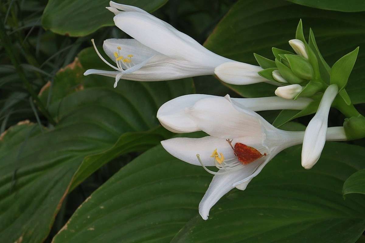 � ����� � ������ 2 ����� Natali  ��������� �� PhotoGeek.ru #����� ��������������