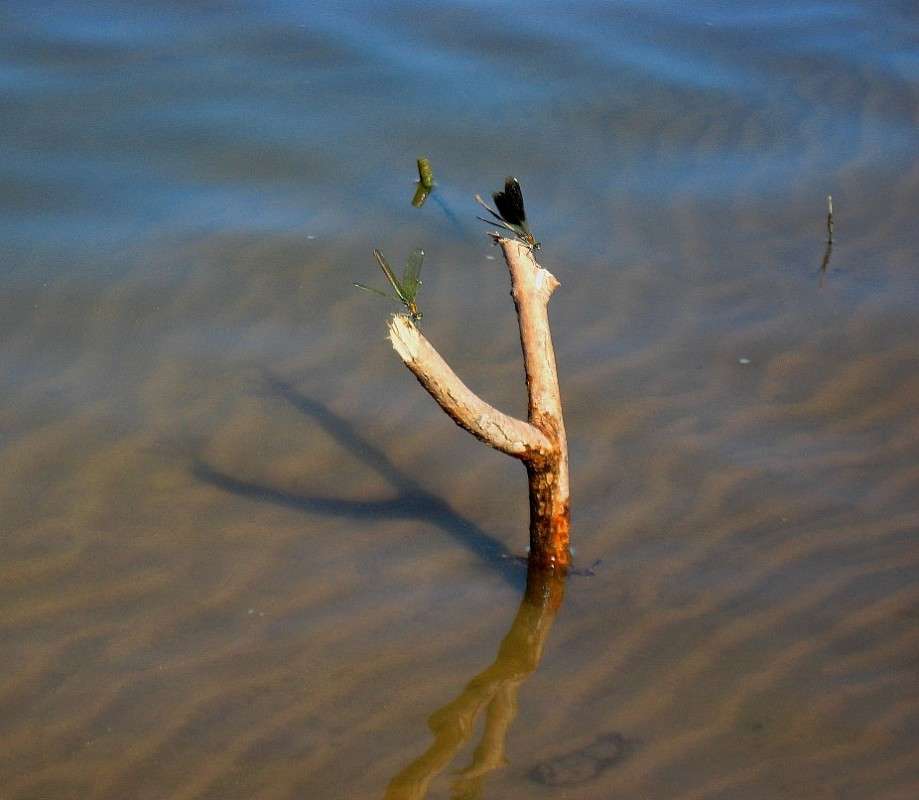 �� ����� 2 ����� Natali  ��������� �� PhotoGeek.ru #�������� ��� #������ ��� ������� #�������� #����� ��������