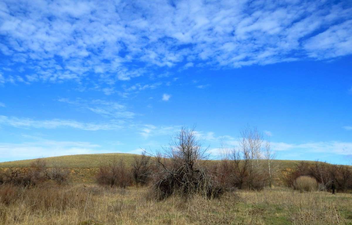 ����� ����� Natali  ��������� �� PhotoGeek.ru #������ ��� �������