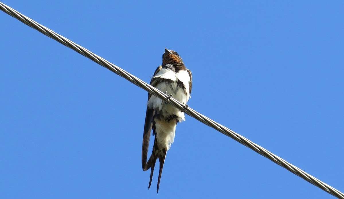 � �� ����� �� ?! ))) ����� Natali  ��������� �� PhotoGeek.ru #�������� ��� #����� ��� ��� ���������