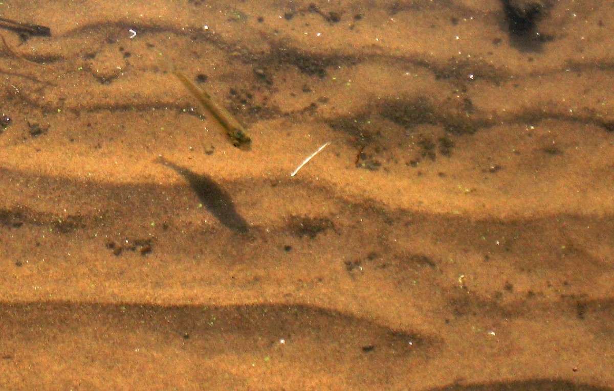 ���� ) ����� Natali  ��������� �� PhotoGeek.ru #����� ��������