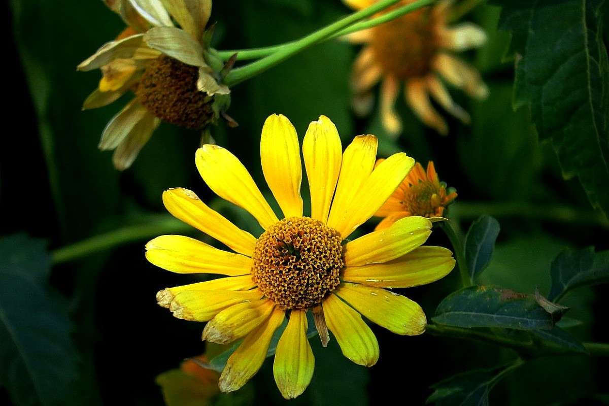 ... ����� Natali  ��������� �� PhotoGeek.ru #����� ��������������