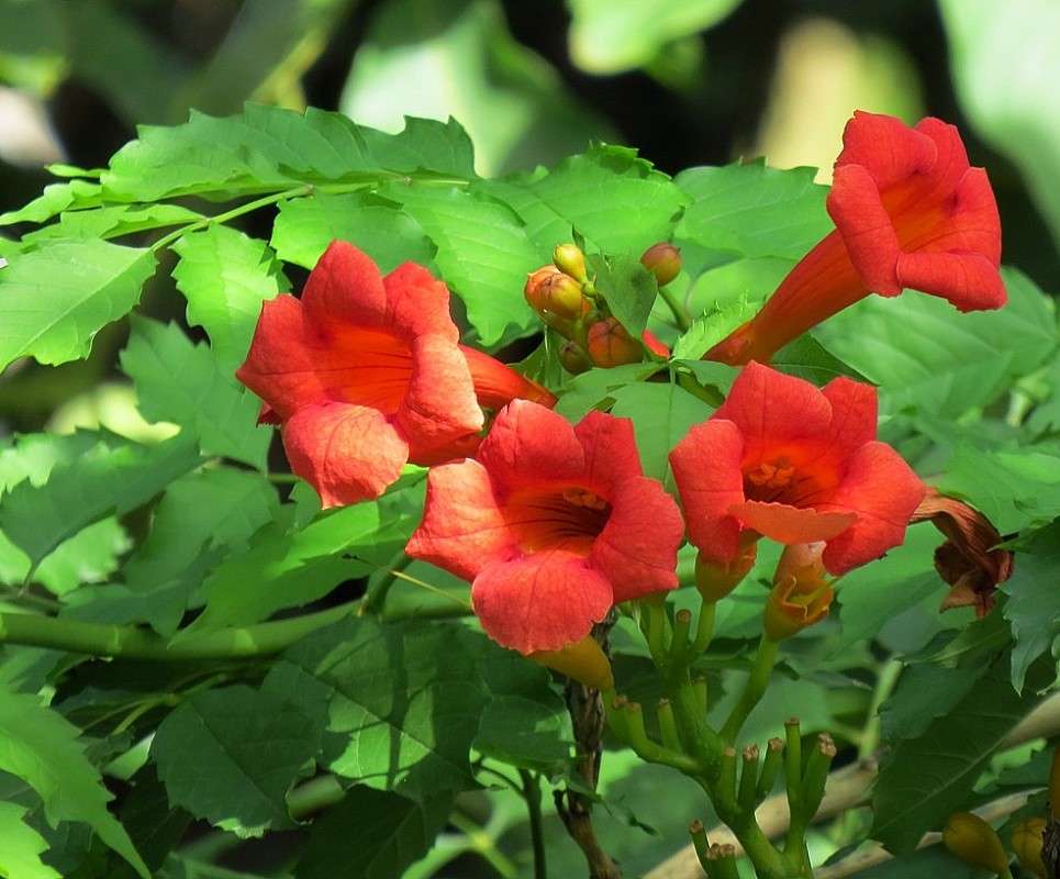 ... ����� Natali  ��������� �� PhotoGeek.ru #������ ��� ������� #����� ��������������