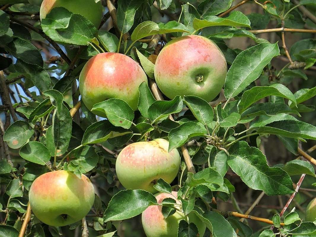 ... ����� Natali  ��������� �� PhotoGeek.ru #������ ��� ������� #����� ��������������