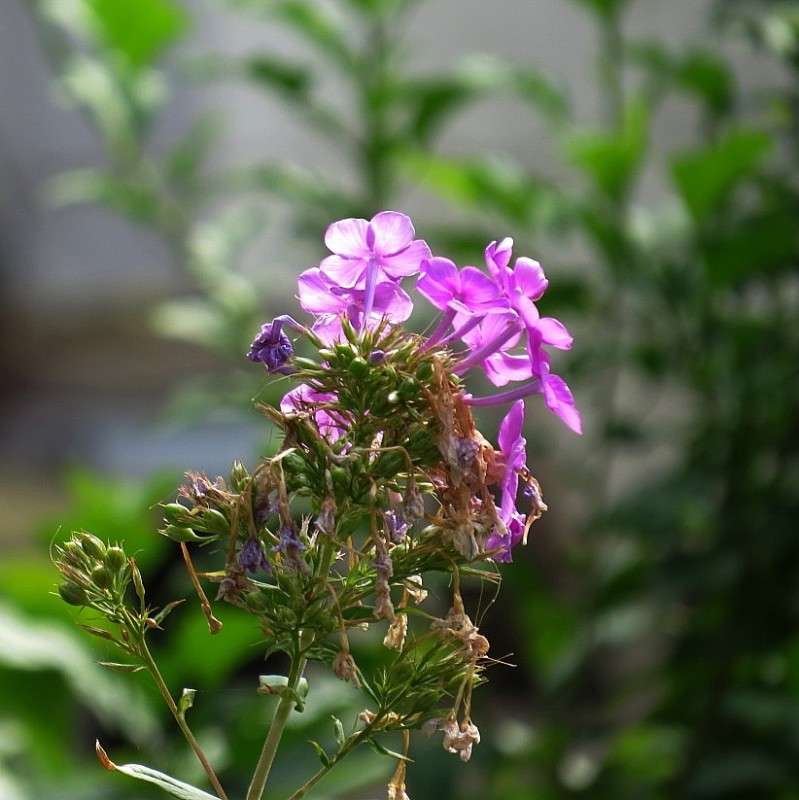 ... ����� Natali  ��������� �� PhotoGeek.ru #������ ��� ������� #����� ��������������