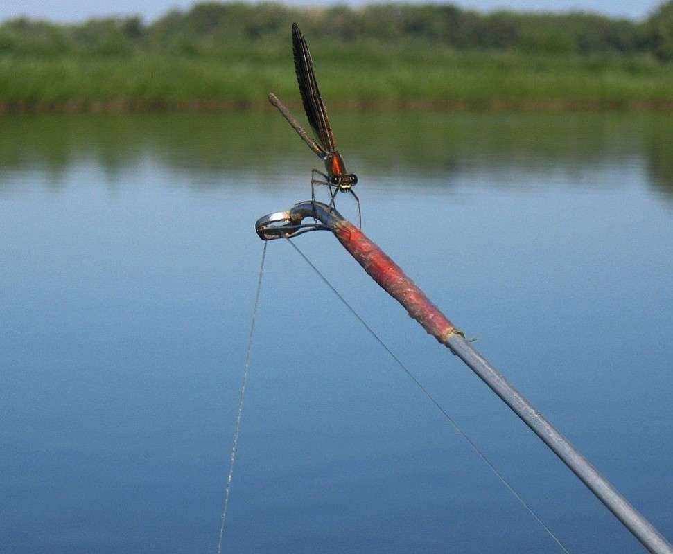 ������ � ������� ))) ����� Natali  ��������� �� PhotoGeek.ru #������ ��� ������� #����� ��������