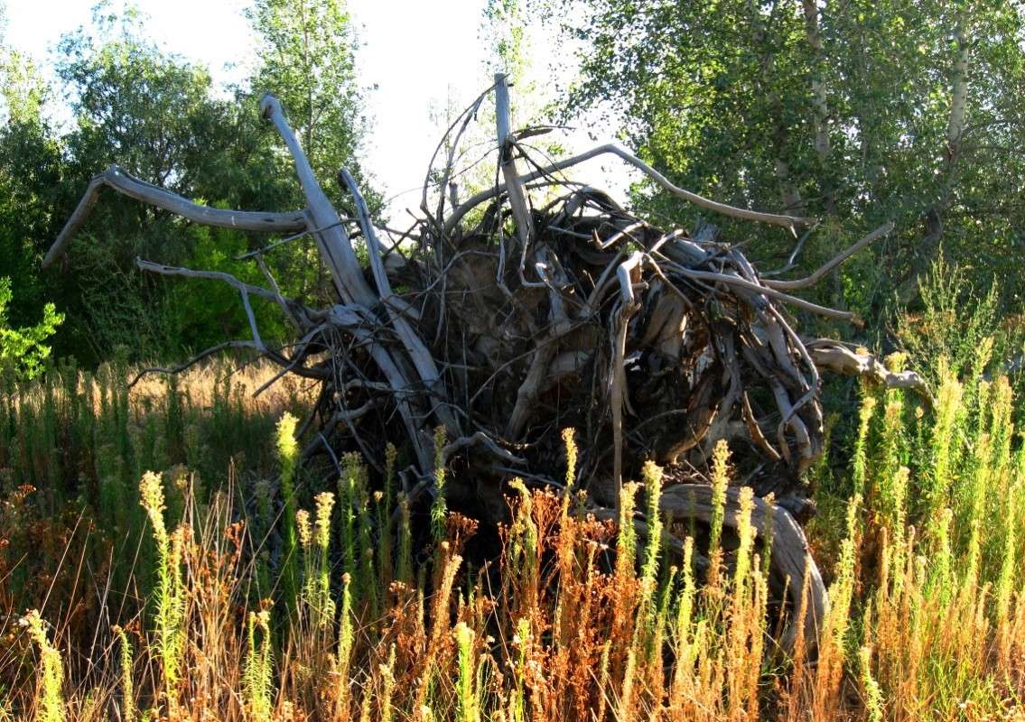 ׸����� ������ ))) ����� Natali  ��������� �� PhotoGeek.ru #������ ��� ������� #����� ��������������