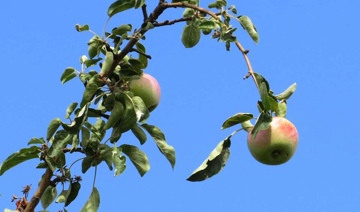 �� ������� ����� ))) ����� Natali  ��������� �� PhotoGeek.ru #����� ��������������