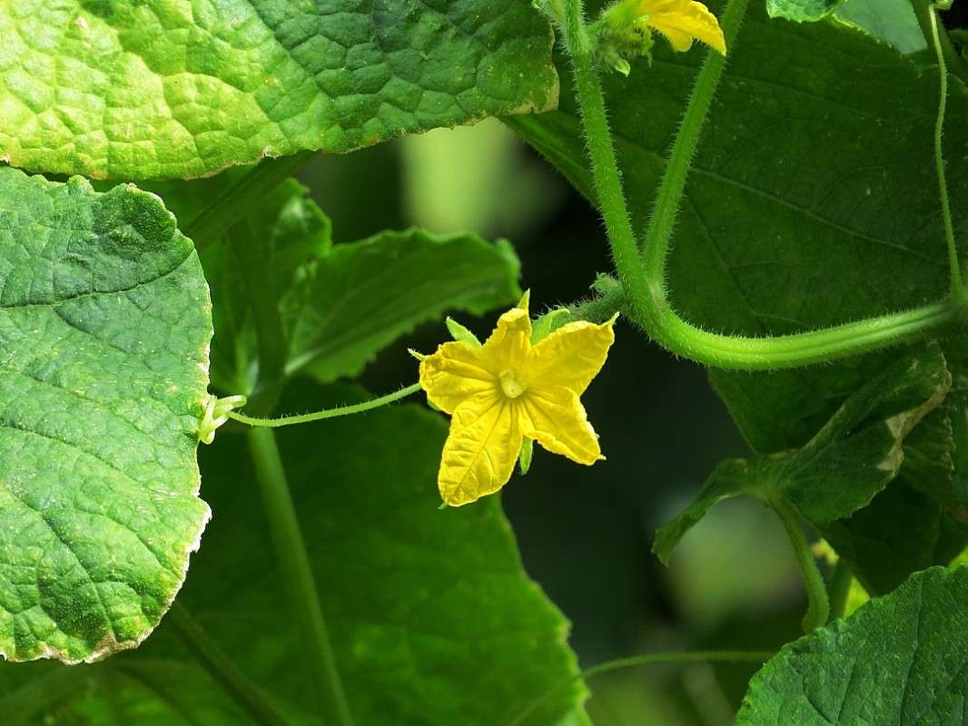 � �������� ����� ... ) ����� Natali  ��������� �� PhotoGeek.ru #������ ��� ������� #����� ��������������