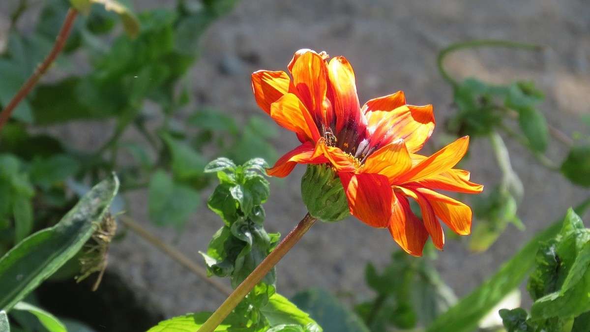 25 ������� 2015 �. 3 ����� Natali  ��������� �� PhotoGeek.ru #������ ��� ������� #����� ��������������