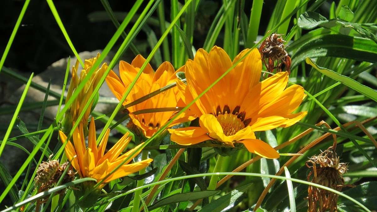 25 ������� 2015 �. 4 ����� Natali  ��������� �� PhotoGeek.ru #������ ��� ������� #����� ��������������