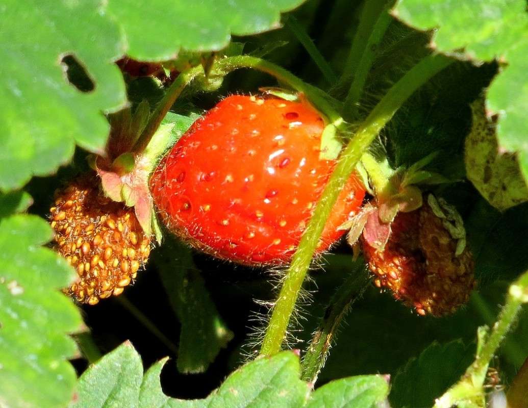 25 ������� 2015 �. 2 ����� Natali  ��������� �� PhotoGeek.ru #������ ��� ������� #����� ��������������