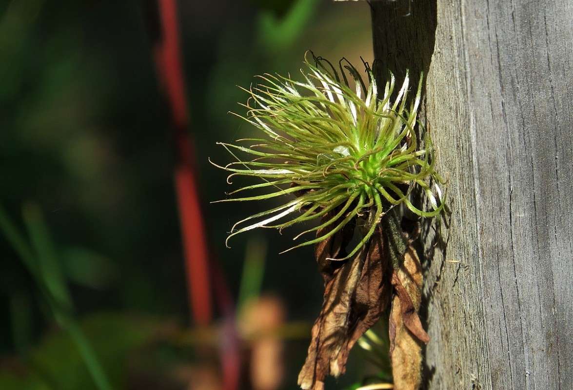 � �������� ���������� ))) ����� Natali  ��������� �� PhotoGeek.ru #������ ��� ������� #����� ��������������