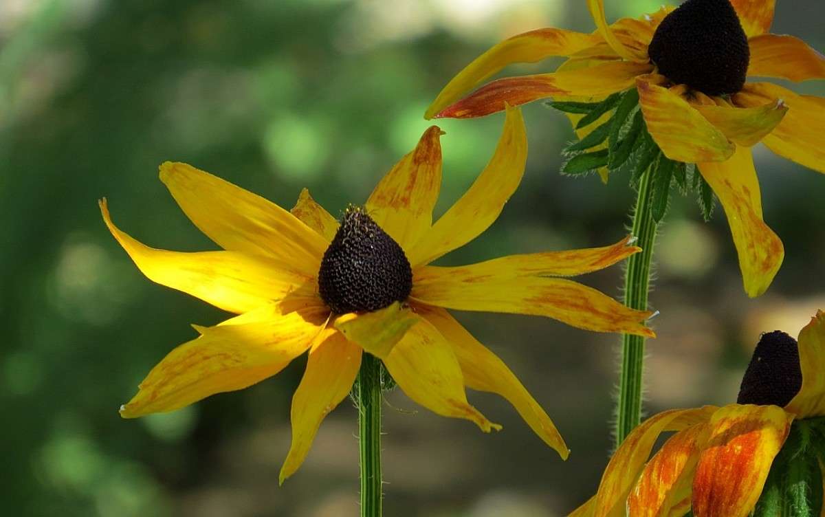 25 ������� 2015 ����� Natali  ��������� �� PhotoGeek.ru #������ ��� ������� #����� ��������������