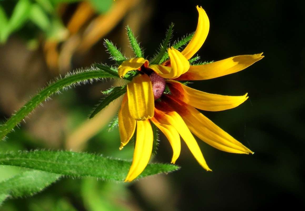 ... ����� Natali  ��������� �� PhotoGeek.ru #������ ��� ������� #����� ��������������