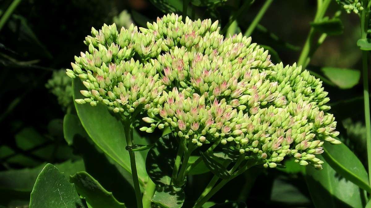 ... ����� Natali  ��������� �� PhotoGeek.ru #������ ��� ������� #����� ��������������