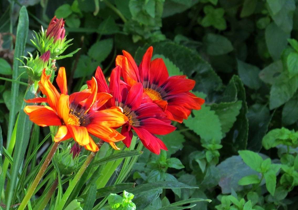 ... ����� Natali  ��������� �� PhotoGeek.ru #������ ��� ������� #����� ��������������