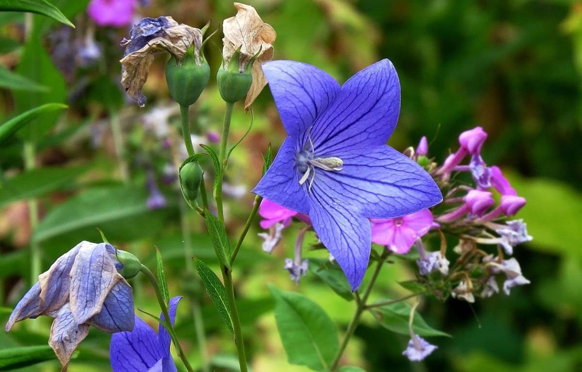 ... ����� Natali  ��������� �� PhotoGeek.ru #������ ��� ������� #����� ��������������