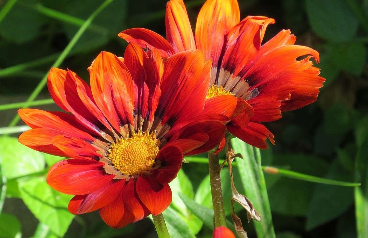 ������ ������� ..) ����� Natali  ��������� �� PhotoGeek.ru #������ ��� ������� #����� ��������������