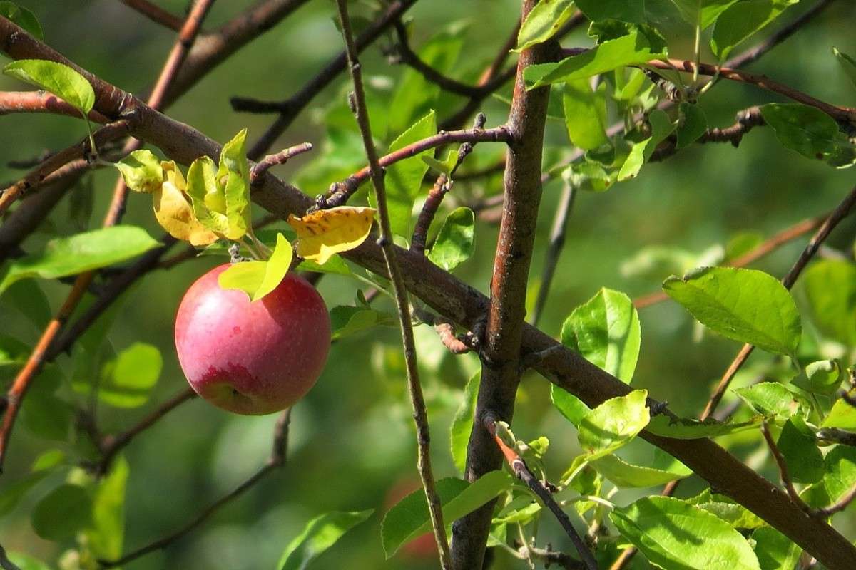 � ����������� �����   ) ����� Natali  ��������� �� PhotoGeek.ru #������ ��� ������� #����� ��������������