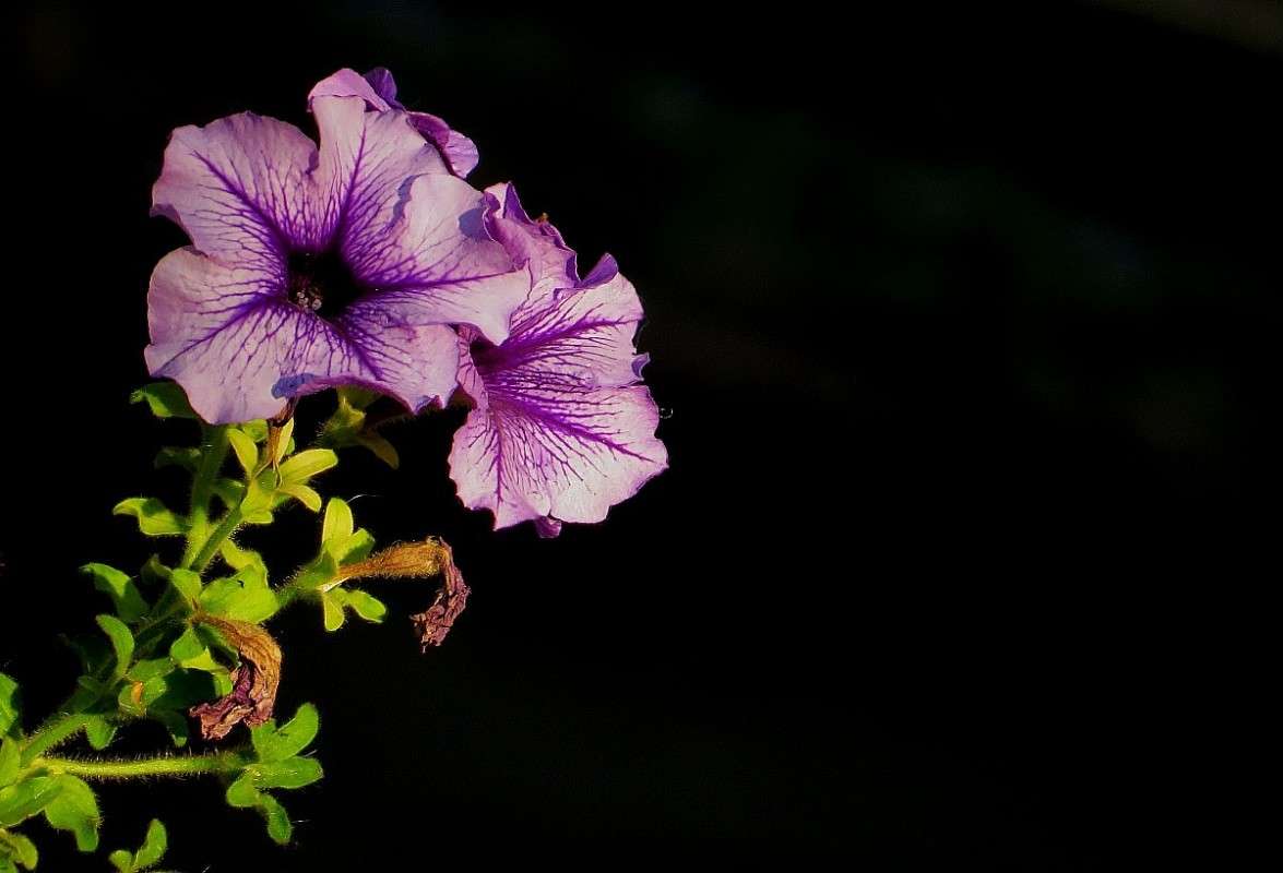 �������� ����� Natali  ��������� �� PhotoGeek.ru #������ ��� ������� #����� ��������������