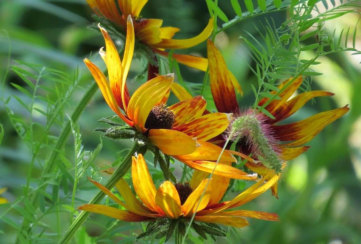 ������ ����� Natali  ��������� �� PhotoGeek.ru #������ ��� ������� #����� ��������������