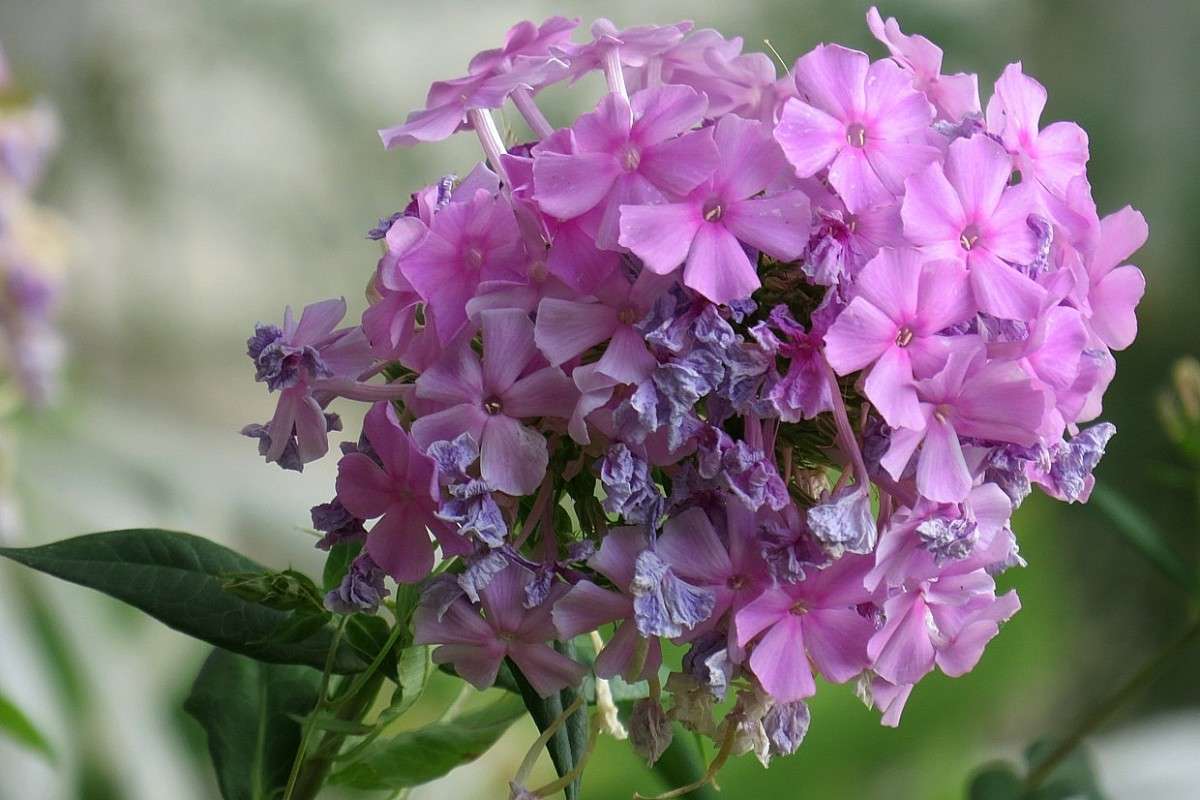 �������� ��� ����� � ������� ����� Natali  ��������� �� PhotoGeek.ru #������ ��� ������� #����� ��������������