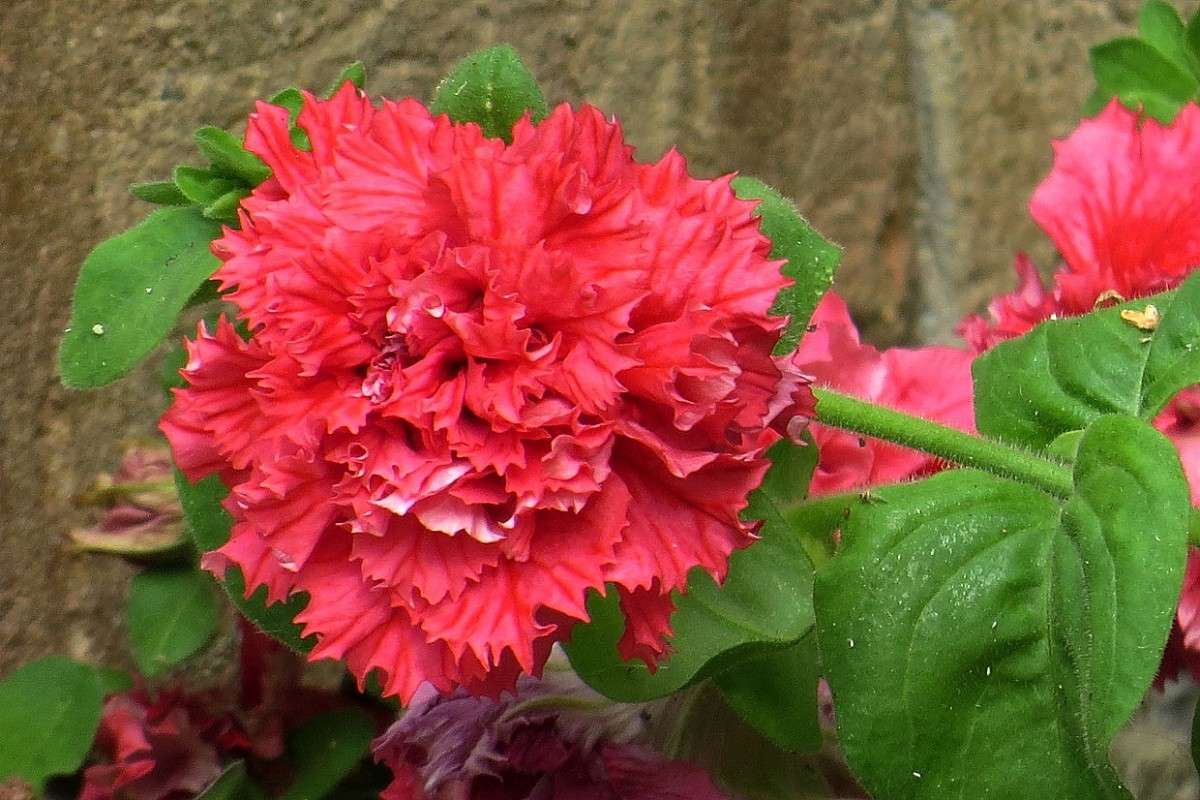 �������� ������� ... ) ����� Natali  ��������� �� PhotoGeek.ru #������ ��� ������� #����� ��������������