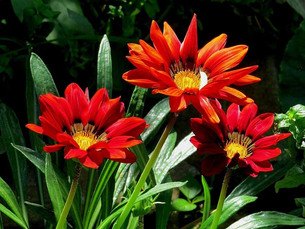 ������� �������� ����� Natali  ��������� �� PhotoGeek.ru #������ ��� ������� #����� ��������������