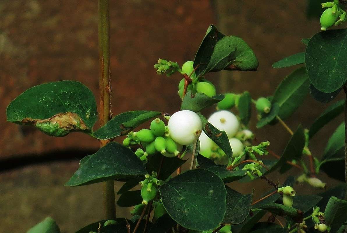 �������� �������� ))) ����� Natali  ��������� �� PhotoGeek.ru #������ ��� ������� #����� ��������������