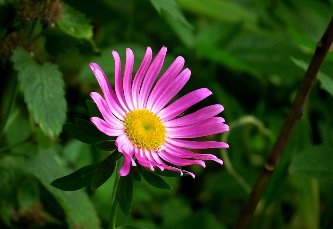 ... ����� Natali  ��������� �� PhotoGeek.ru #������ ��� ������� #����� ��������������