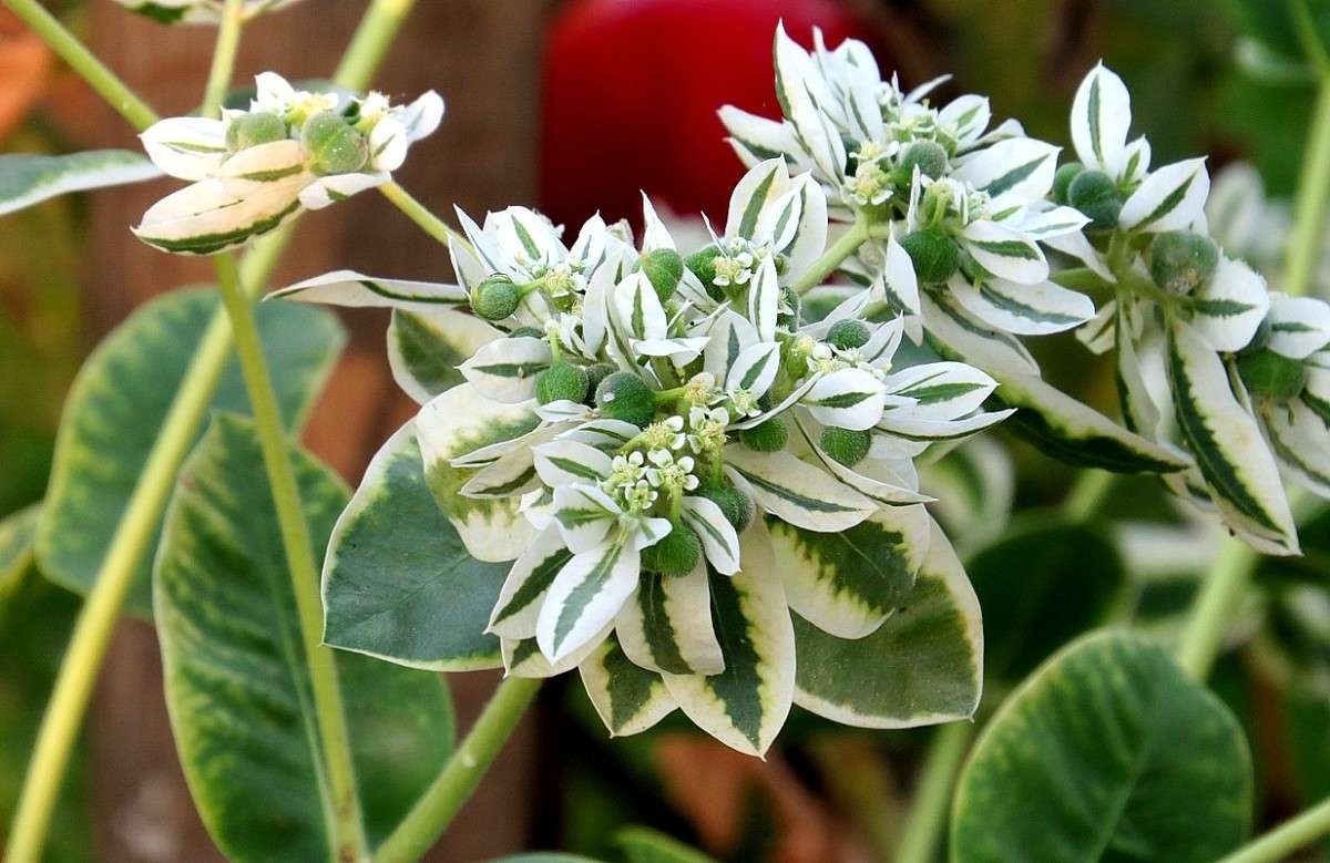 ... ����� Natali  ��������� �� PhotoGeek.ru #������ ��� ������� #����� ��������������