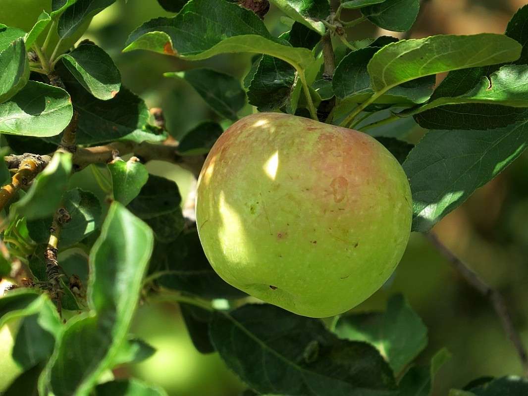 ... ����� Natali  ��������� �� PhotoGeek.ru #������ ��� ������� #����� ��������������