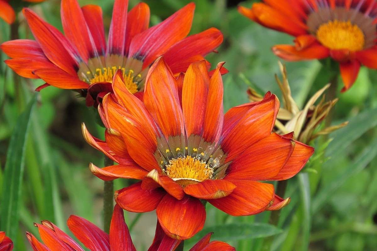 ... ����� Natali  ��������� �� PhotoGeek.ru #������ ��� ������� #����� ��������������