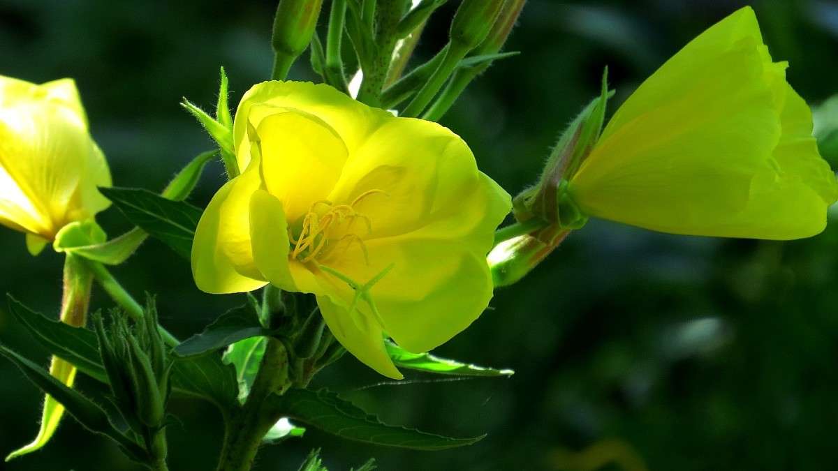 ... ����� Natali  ��������� �� PhotoGeek.ru #������ ��� ������� #����� ��������������