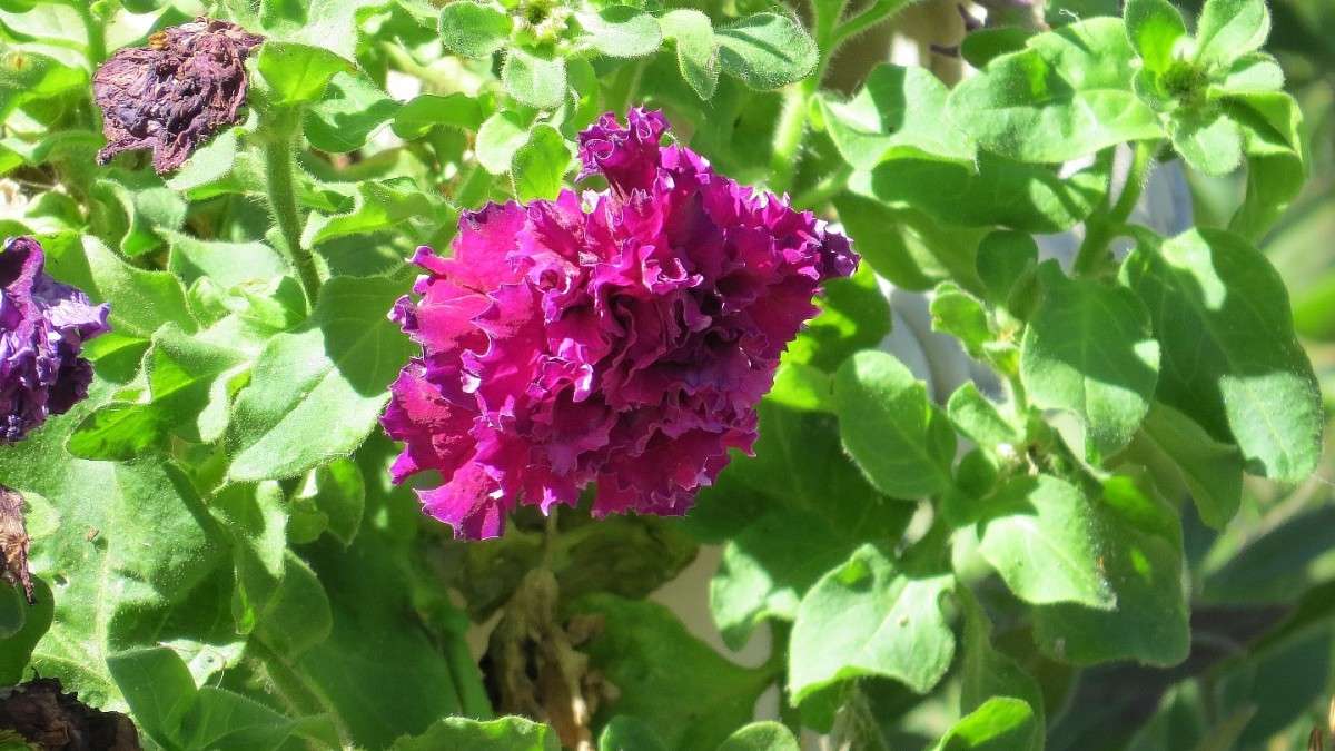 ... ����� Natali  ��������� �� PhotoGeek.ru #������ ��� ������� #����� ��������������