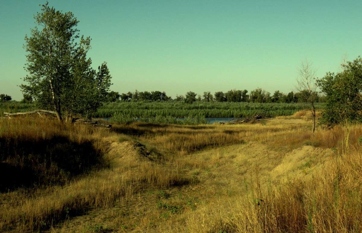 ���������� ���� ����� Natali  ��������� �� PhotoGeek.ru #������ ��� ������� #����� ��������������