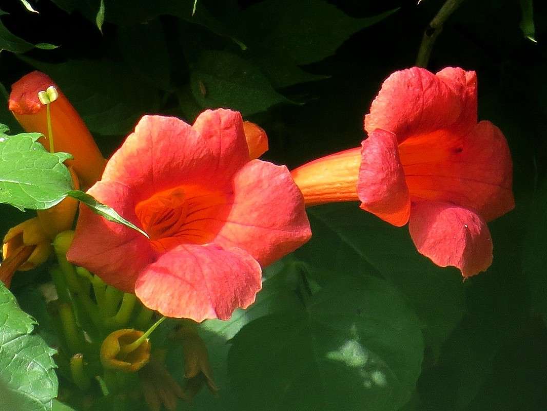 ... ����� Natali  ��������� �� PhotoGeek.ru #����� ��������������